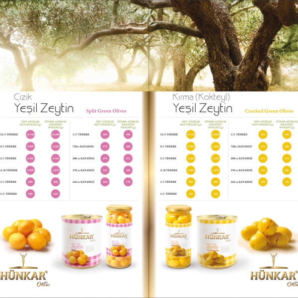 Yeşil Zeytin